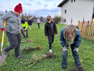 Impressionen