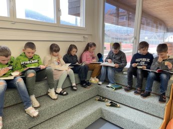 Angebot der Schule